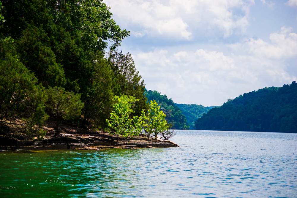 Home eye centers of tennessee